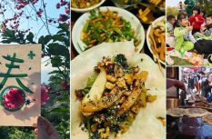 開啟泉州“輕旅行”：在踏青、懷古、尋味中感受人文春韻