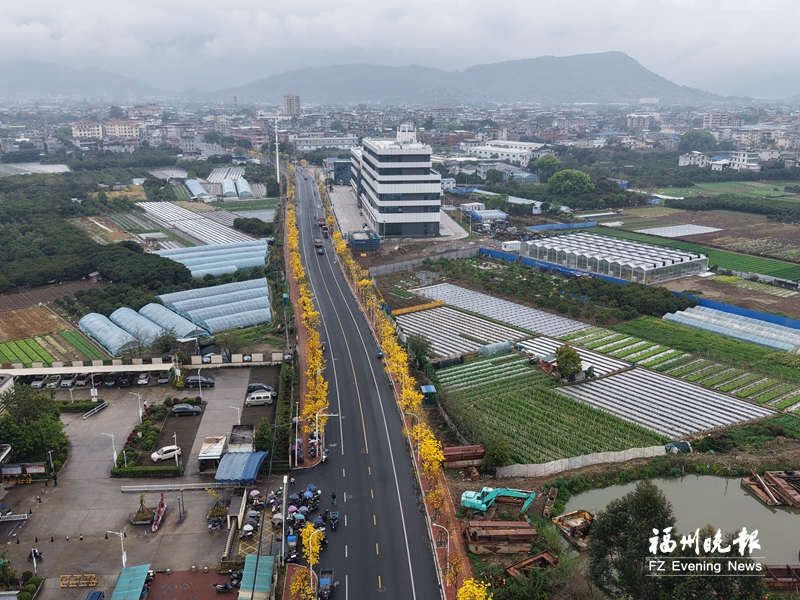 ����������Ʒ�������װ������