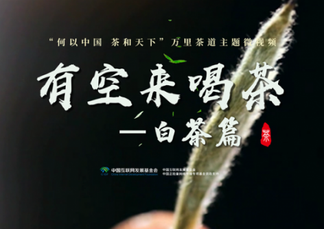 萬里茶道丨從太姥山到全球 一片葉子撐起一方富民產業