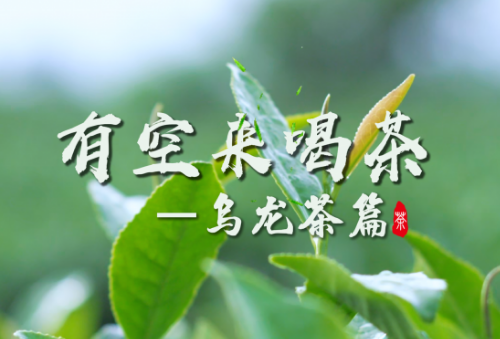 铁观音的代际玩法，安溪人给出自己的答案