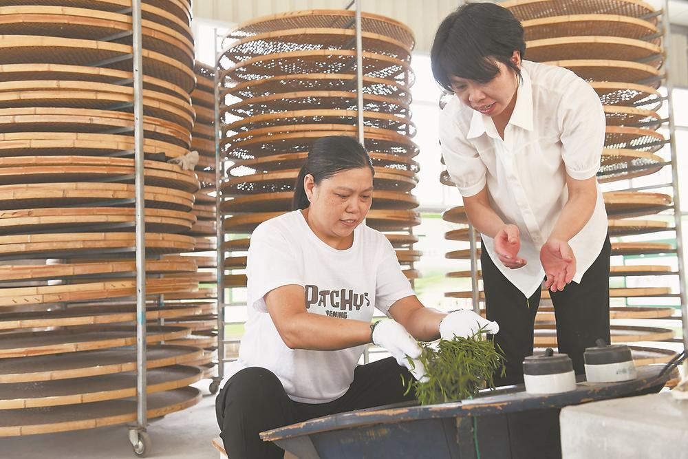 只为外婆灶台上的那一缕茶香