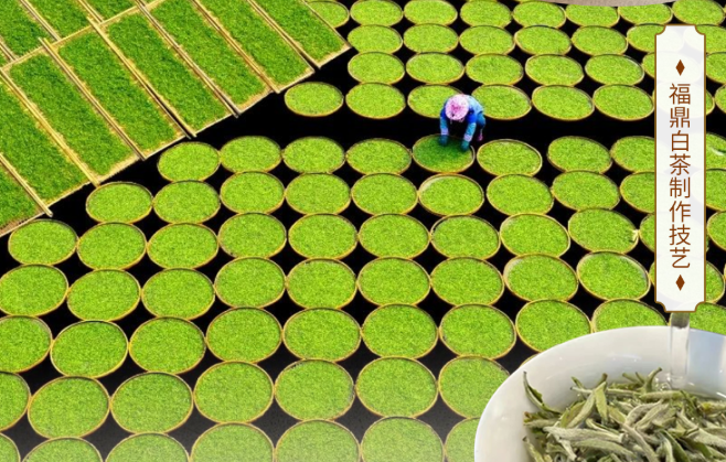 福茶飘香 “茗”扬四方