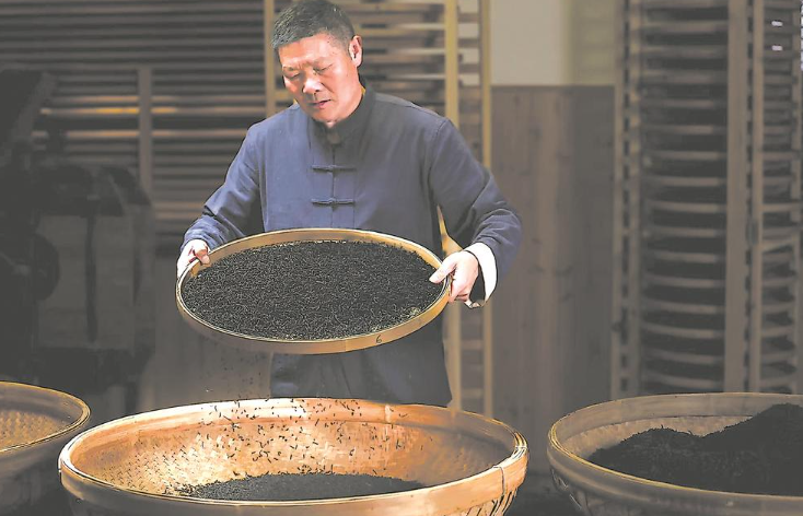 福安：俏销新红茶 氤氲花果香