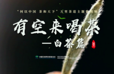 万里茶道丨从太姥山到全球 一片叶子撑起一方富民产业