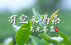 铁观音的代际玩法，安溪人给出自己的答案