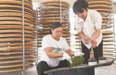 只為外婆灶臺上的那一縷茶香