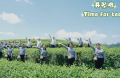 大田美人茶喊山開茶