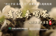 万里茶道丨一朵茉莉花的“产业漂流记”