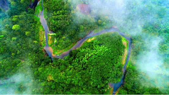 丹山碧水赴山海之约文旅联动拓合作新篇&mdash;&mdash;福建环大金湖（宁德）专场文旅推介会成功举办1166