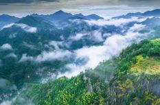 寧德周寧：打造森林“四庫”聯動建設樣板