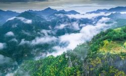 宁德周宁：打造森林“四库”联动建设样板