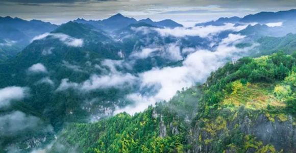 宁德周宁：打造森林“四库”联动建设样板