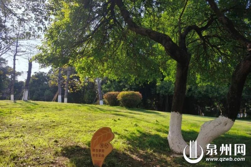 泉州芳草园绿意盎然（来源：泉州公园微信公众号）