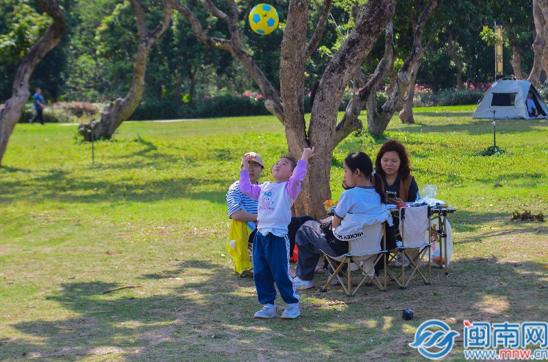 清明假期，不少市民游客外出踏青赏春。