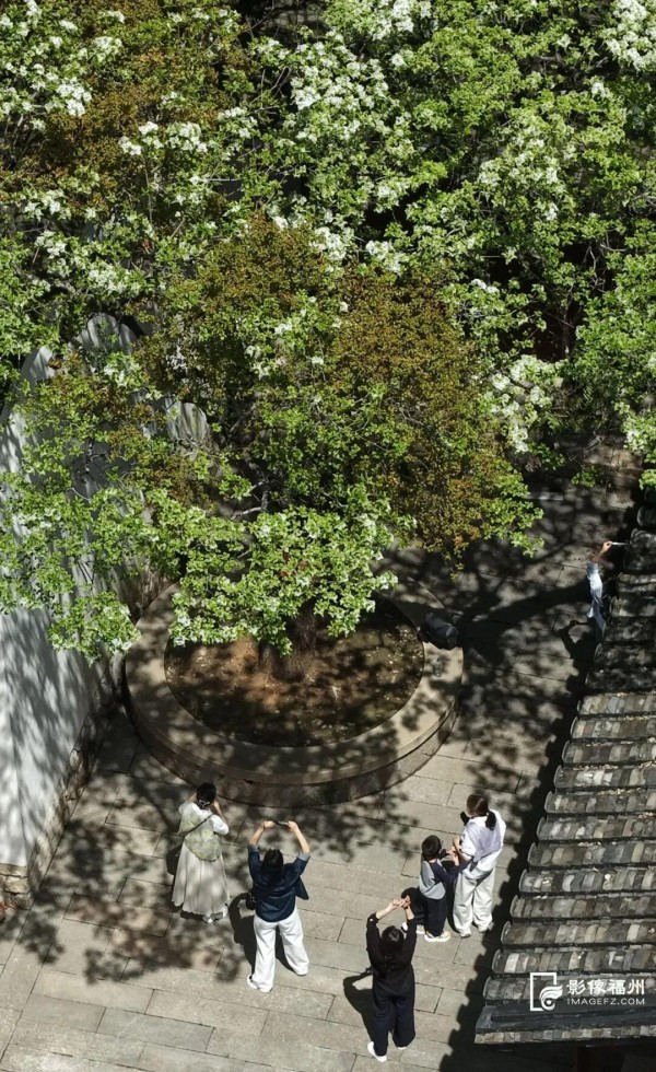 福州三坊七巷古流苏。记者 包华 摄