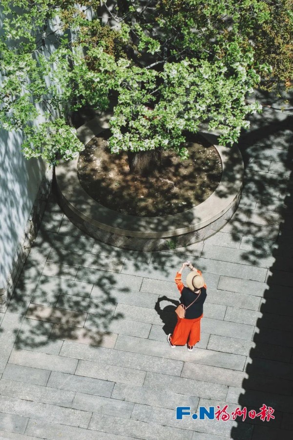 福州三坊七巷古流苏。记者 包华 摄