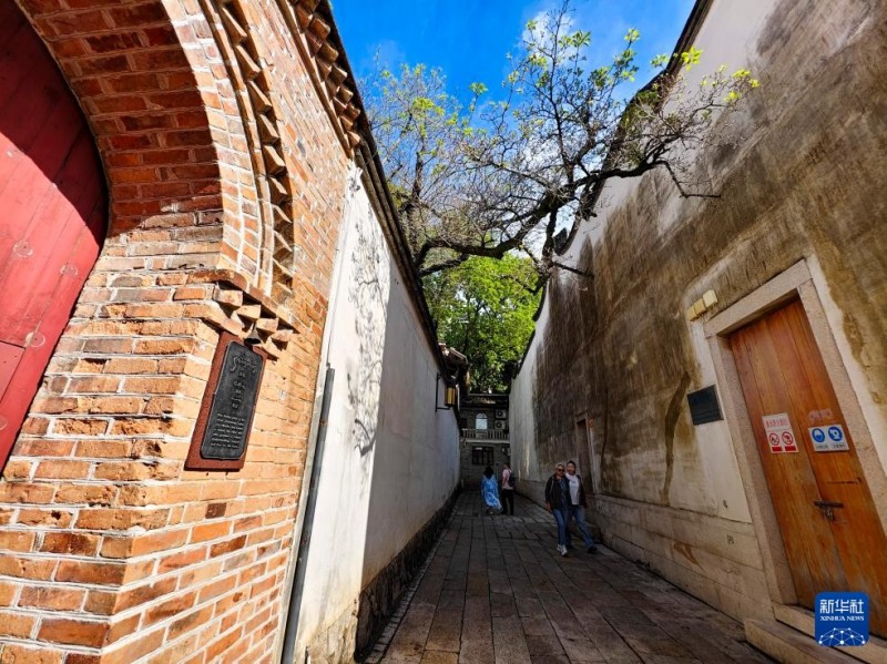 4月4日，游客在福州三坊七巷衣锦坊41号观赏百年流苏树。新华社记者 魏培全 摄