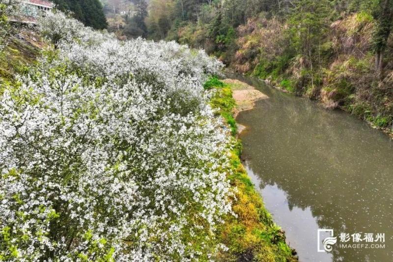 水面上落英缤纷。记者 池远 摄