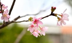 色彩漫步 “收集”春天！感受春光里的泉州