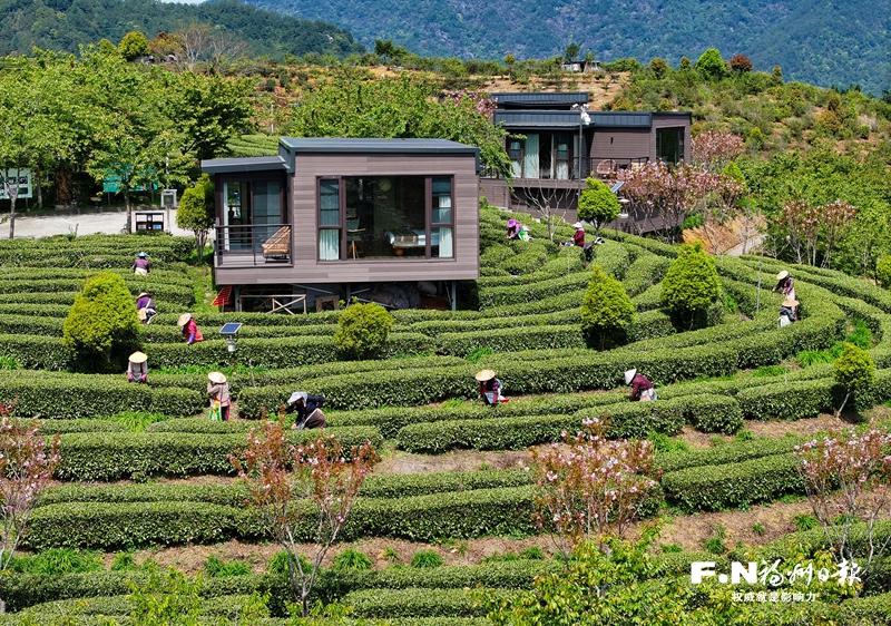 读懂福州市委一号文件:三个方向绘出“三农”工作路线图