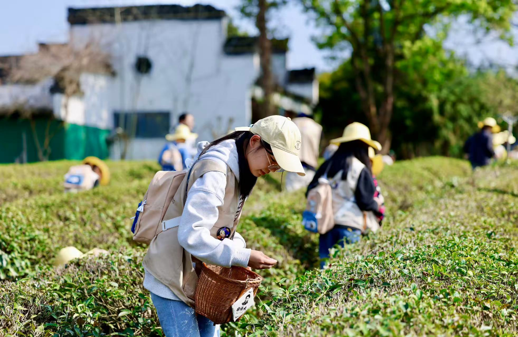 踏春好 春假给孩子带来多彩课堂