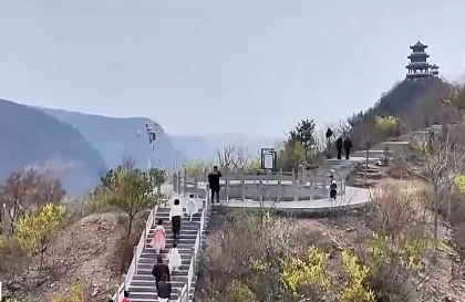 踏青赏花正当时 这些浪漫花海等你打卡