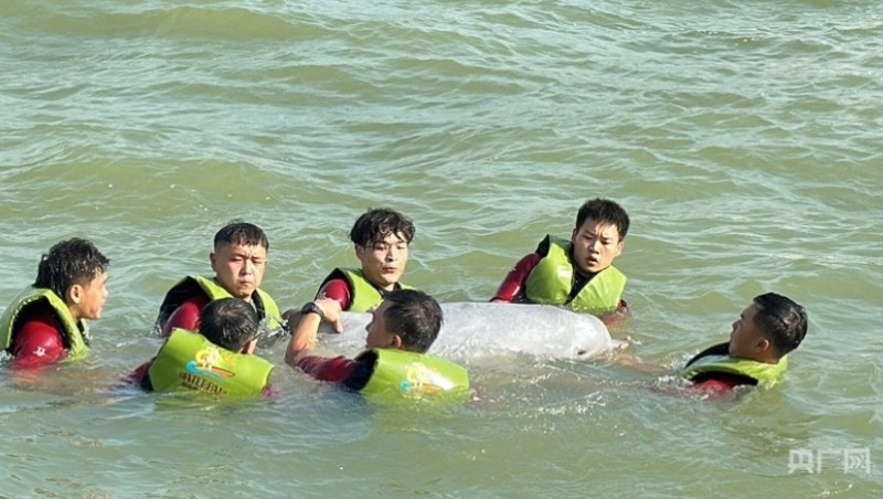 “乐宝”回家。央广网记者 吴馨骅 摄