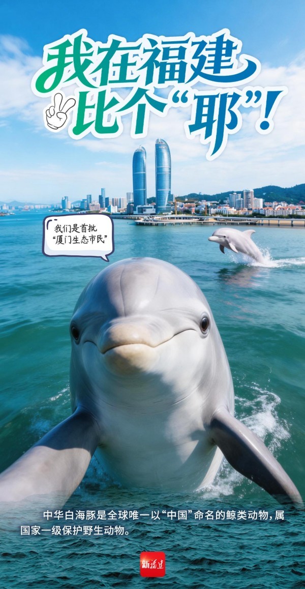 厦门是全国唯一在城区就能看见中华白海豚身影的城市。1997年，厦门建立全国首个中华白海豚自然保护区，此后又在火烧屿建立了中华白海豚救护繁育基地。近年来，随着厦门海域的生态环境持续向好，“登门造访”的中华白海豚种群数量明显增多。