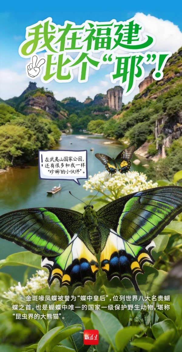 作为全国首批5个国家公园之一，武夷山国家公园被称为“蛇的王国”“鸟的天堂”“昆虫的世界”。绝佳的生态环境，带动国家公园住户数量不断攀升，金斑喙凤蝶等珍稀物种频频现身。2025年，为期三年多的武夷山国家公园生物资源本底调查结束，共发现34个新物种、10个中国新记录种。