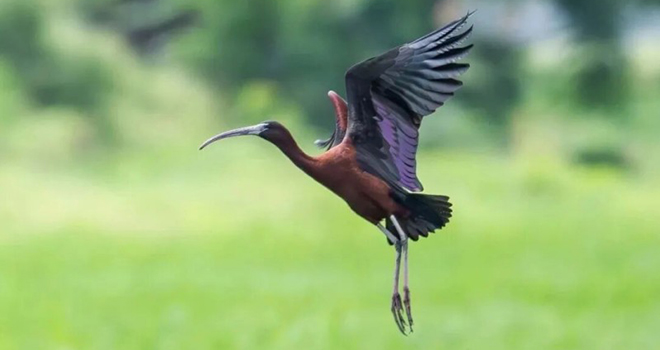 咔嚓!福建“珍稀天团”向你投送了一组“怼脸”自拍