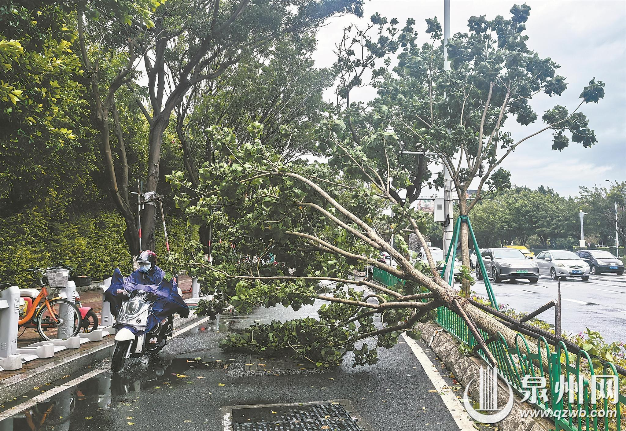 早高峰遇上大雨“拦路”今天起降水暂歇 明日气温冲上30℃