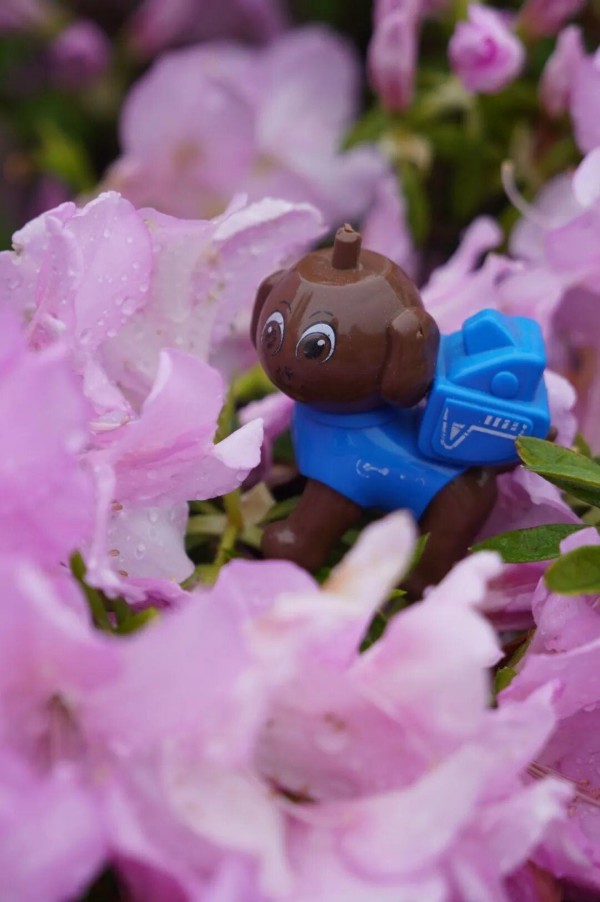 人间四月，在鼓岭这个“神仙花园”里，处处姹紫嫣红，充满诗意。所有的美好都如期而至，欢迎在这个春天相约鼓岭。 