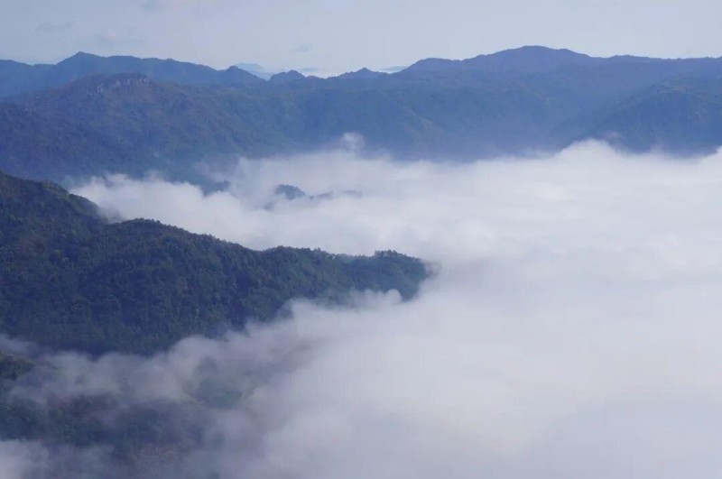 天气刚好，还能邂逅“春日奇观”云海，惊喜翻倍。