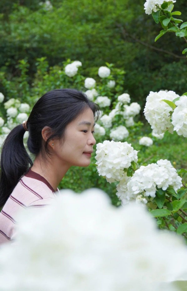 枝桠托着层层叠叠的温柔，绿白相叠的褶皱里，藏着鼓岭暮春轻轻絮语。