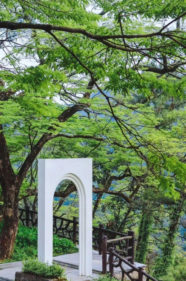 鼓岭的春天，正是从这一抹破土而出的新绿开始的。是草地上层层叠叠的翠色，公园里道路旁那草木抽芽的嫩枝，滤过阳光的层层新叶。