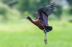 咔嚓！福建“珍稀天團”向你投送了一組“懟臉”自拍