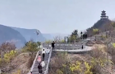 春天里的中國丨踏青賞花正當時 這些浪漫花海等你打卡