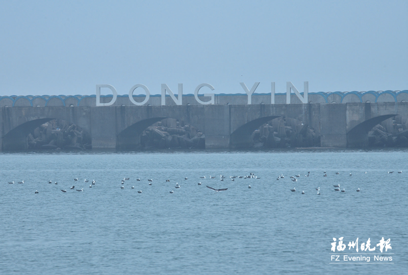 ��������ǭ������Ժ����