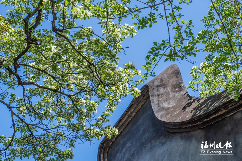 ��������ʾ�������������ѩ�� ������һЦ��������10�վٰ�