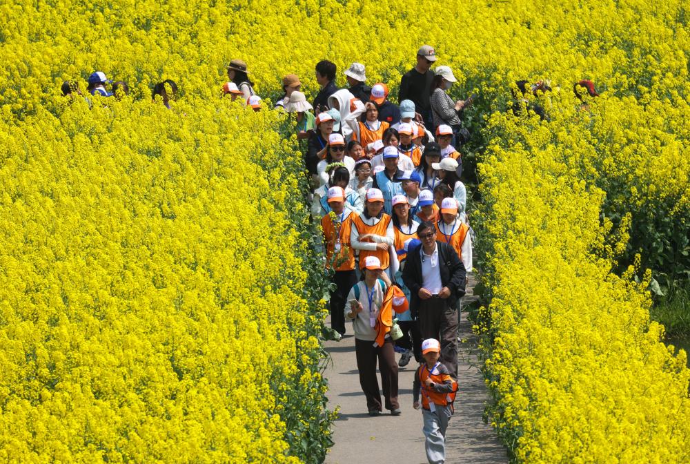 财经聚焦丨春日经济活力的关键何在