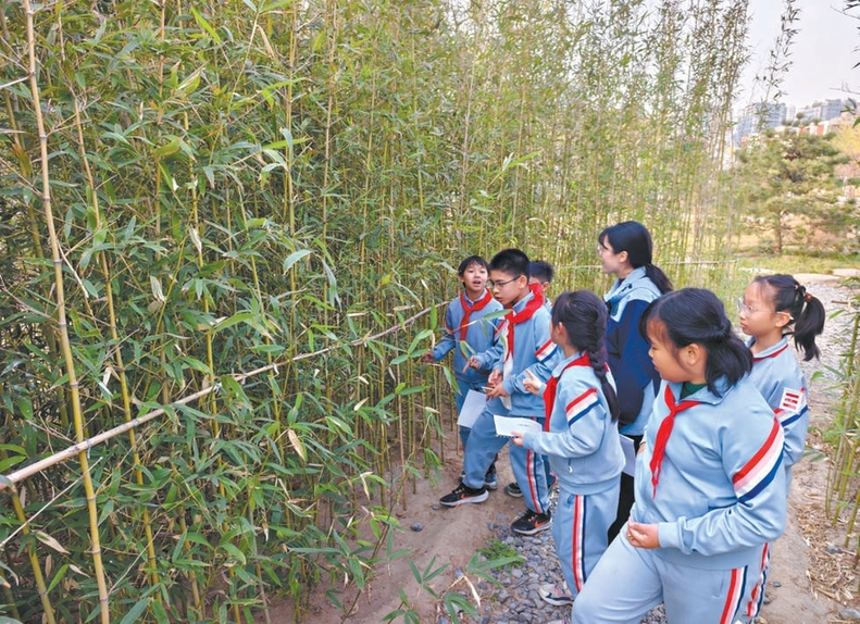 120所中小学把课堂搬进公园
