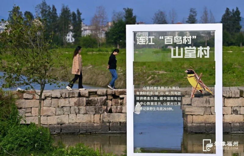 连江县东岱镇山堂村打造观鸟基地。郑帅 摄