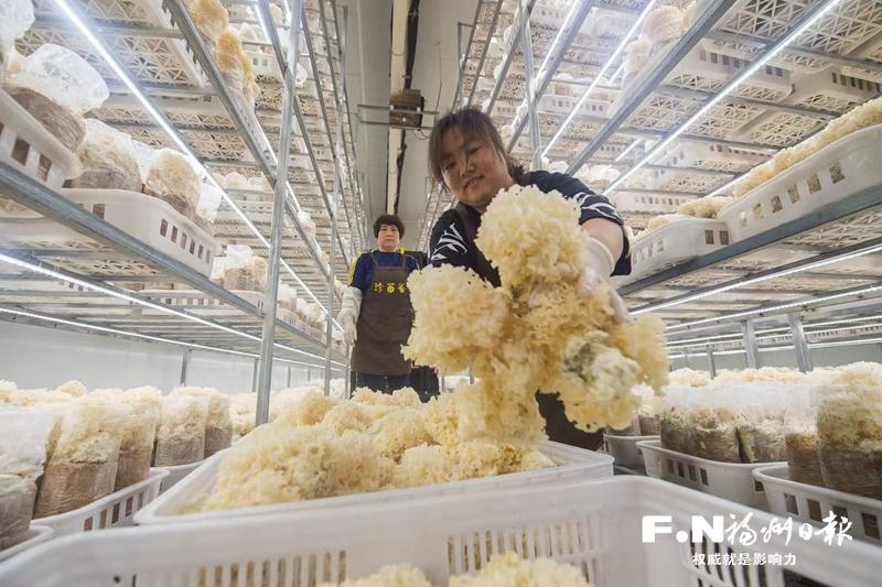 工行福州分行：金融活水助民营经济“拔节生长”