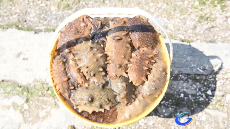 5f163cfe-ab9a-439a-92b6-8e6a2e273aac