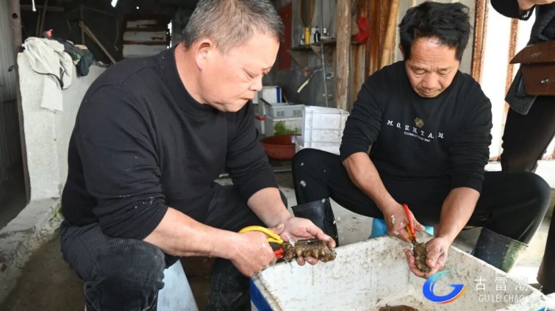 6c5a0e66-b07d-4aaa-9525-eadd4247c623