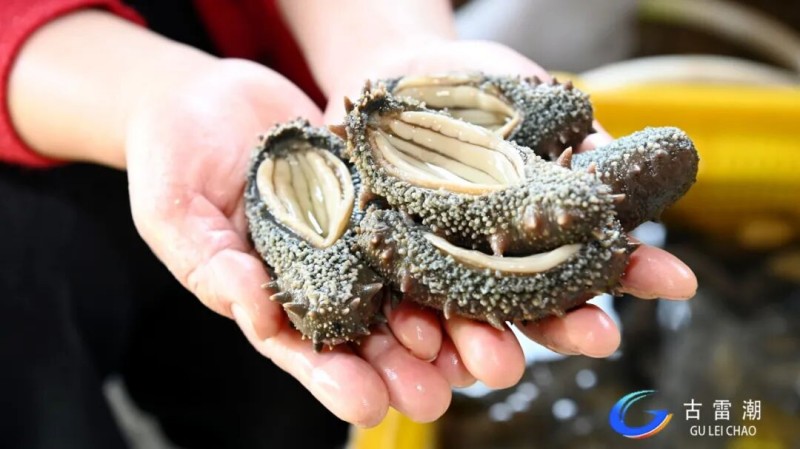 eba8a1fd-d056-4ca6-bd4a-d408dc048545