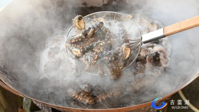 34b1577d-d9b0-4149-812e-cd09078791dd