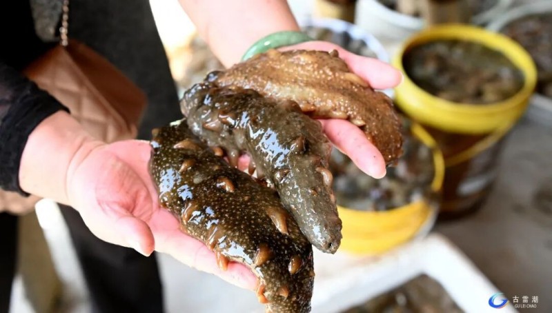 62db7ba1-963e-4230-ab28-c759c4905938