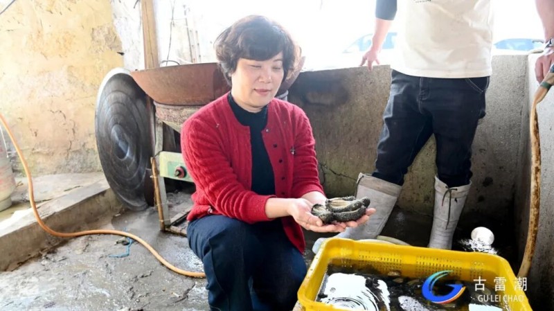 e72144ed-20b5-4e07-865e-75b1e1bb5509