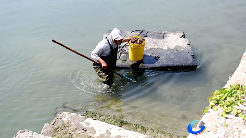 5719a247-4528-43ba-b710-d5da5f94a634